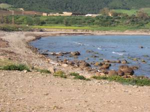 Highlight for Album: Route de MOSTAGANEM