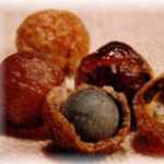les Boules de Sapindus
----
Explications sur 
  le site de BOUGIE
(cliquez ici)  
