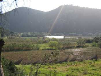 Paysage du CHENOUA