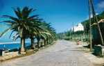 la Promenade des Anglais