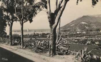 Photo de 1950
----
Magnifique vue de la descente
vers la Plage