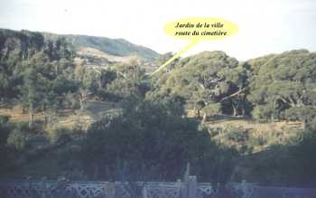 TENES en 1962/1963
----
Jardin du Beylik 
avec ses ruines romaines
ses grands arbres
ses cyclamens
