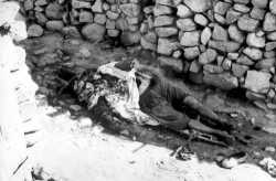 1957 - MNA contre FLN
le massacre de Choukehetta