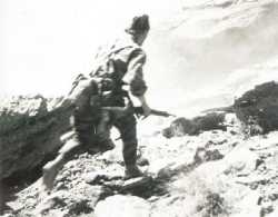Combat dans le Djebel M'ZI