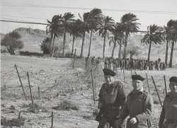 Dans le sud Constantinois