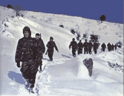 dans la neige de Kabylie