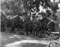 inspection de l'armement