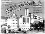 Highlight for Album: BOU-HANIFIA