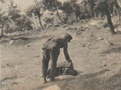 Highlight for Album: Ex&eacute;cution &agrave; GHARDIMAOU