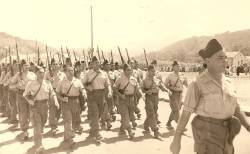 Highlight for Album: Les Unit&eacute;s Territoriales