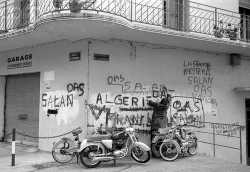 Slogans sur les murs d'Alger
----
   VIDEO 