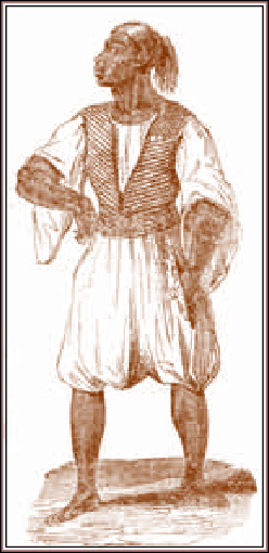 wpd31375b8_0f.jpg