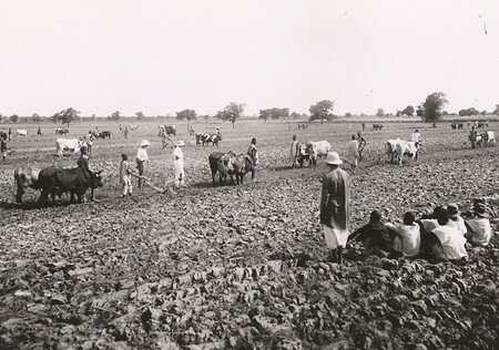 DAFANCAOM01_30FI008N004_P