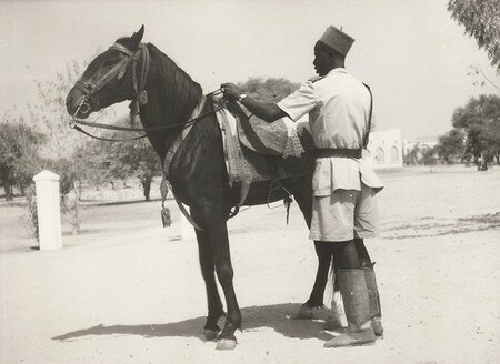 DAFANCAOM01_30FI018N039_P