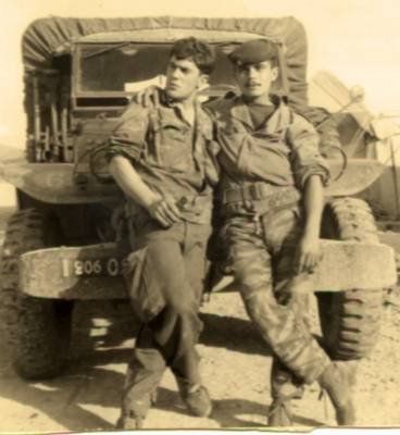 3011993853_1_3_uK36RvVe