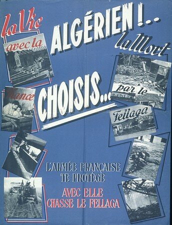 FRCAOM08_9FI_00095R_P