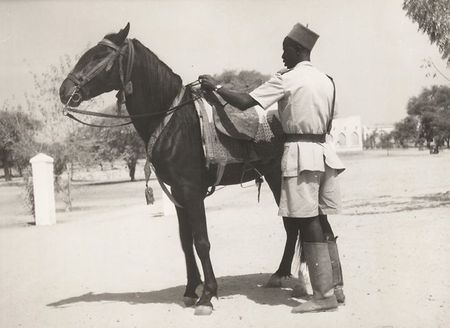 DAFANCAOM01_30FI018N039_P