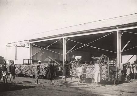 DAFANCAOM01_30FI011N009_P