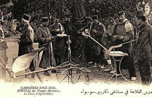 Carrières cours d'agriculture