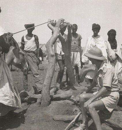 DAFANCAOM01_30FI035N021_P