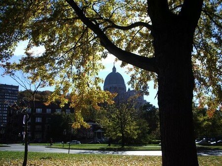 m_2005_10_28_Couleurs_citrouille__185