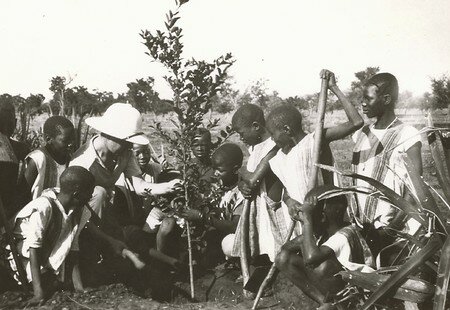 DAFANCAOM01_30FI003N008_P