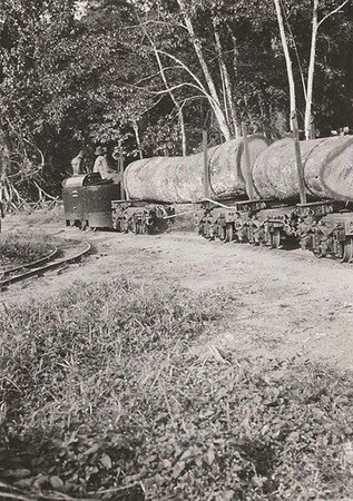 DAFANCAOM01_30FI060N073_P