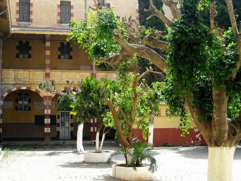 ORAN 2009 JUILLET LYCEE PASTEUR EX LAMORICIERE