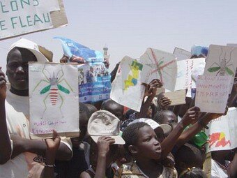 paludisme_en_afrique