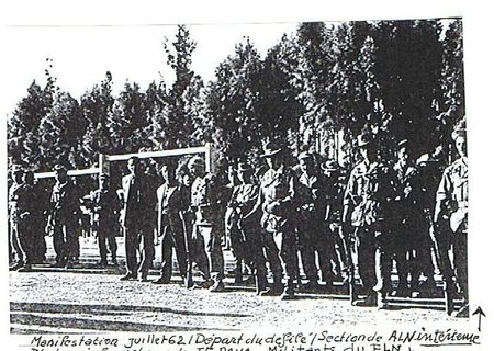 phoca_thumb_l_015-5-juillet