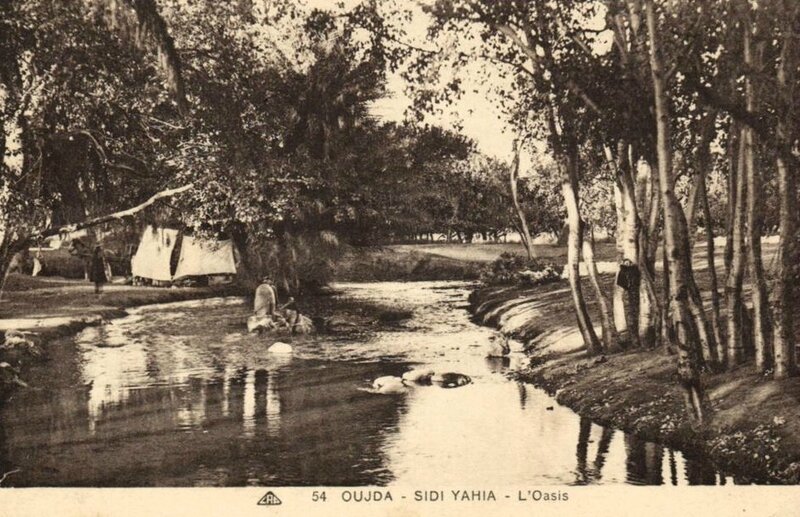 oasis Sidi Yahia cpa (2)