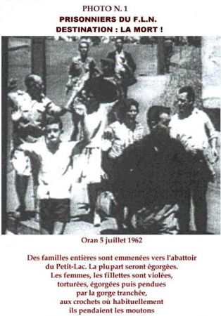 73c69a06b4e7764df7cccd7e28244626