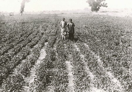 DAFANCAOM01_30FI024N038_P