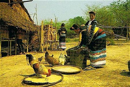 femmes village H'mong