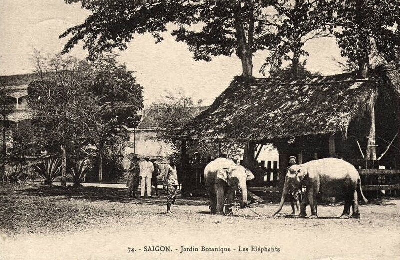 JSaïgon Jardin botanique