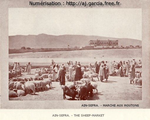A�n-Sefra. - March� aux moutons