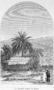 Un gourbi (route de B�ne).