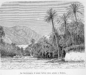 Le lendemain il nous fallut dire adieu � Biskra.
