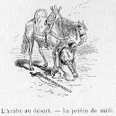 L'Arabe au d�sert.- La pri�re de midi.