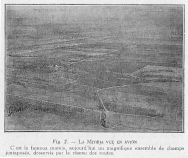 Fig. 2. --- LA MITID]A VUE EN AVION C'est le fameux marais, aujourd'hui un magnifique ensemble de champs juxtapos�s, desservis par le r�seau des routes.