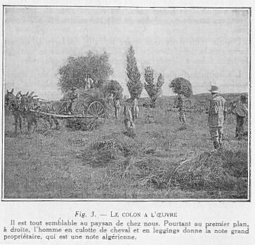 Fig. 3. - LE COLON A L'OEUVRE Il est tout semblable au paysan de chez nous. Pourtant au prernier plan, � droite, l'homme en culotte de cheval et en leggings donne la note grand propri�taire, qui est une note alg�rienne.