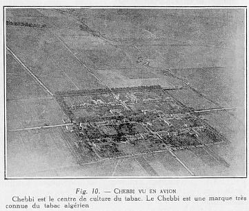Fig. 10 - CHEBBI VU EN AVION Chebbi est le centre de culture du tabac. Le Chebbi est une marque tr�s connue du tabac alg�rien.