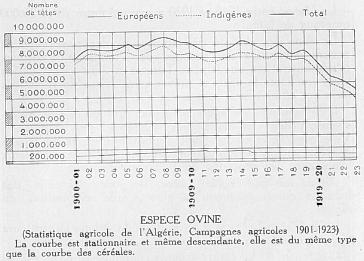 ESPECE OVINE - (Statistique agricole de l'Alg�rie, Campagnes agricoles 1901-1923) La courbe est stationnaire et m�me descendante, elle est du m�me type que la courbe des c�r�ales.