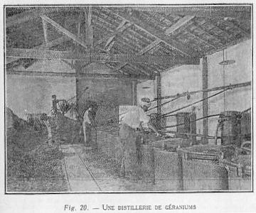 Fig. 20 - UNE DISTILLERIE DE G�RANIUMS