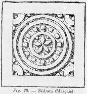 Fig. 28. - S�drata (Mar�ais)