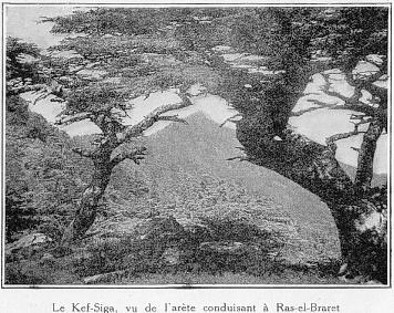 Le Kef-Siga, vu de l'ar�te conduisant � Ras-el-Braret