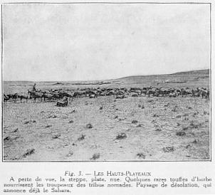 Fig. 3. - LES HAUTS-PLATEAUX A perte de vue, la steppe, plate, nue. Quelques rares touffes d'herbe nourrissent les troupeaux des tribus nomades. Paysage de d�solation, qui annonce d�j� le Sahara.