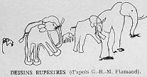 DESSINS RUPESTRES (d'apr�s G.H.M. Flamand).