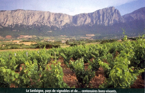 La sardeigne.jpg