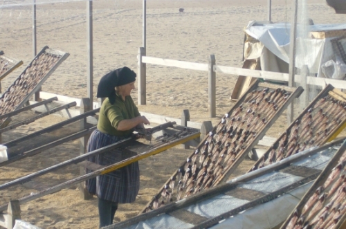 autres-vie-quotidienne-nazare-portugal-1291773859-1187902.jpg